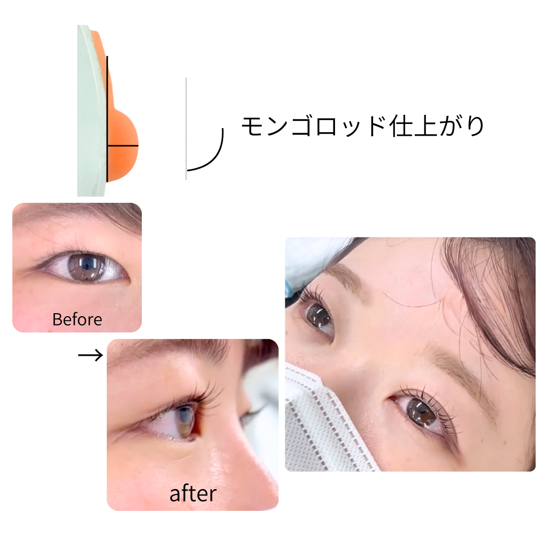 "一重/重め向き" モンゴロッド