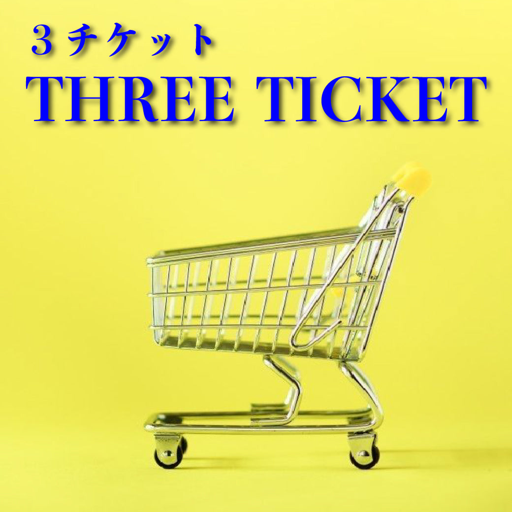 【クレジット限定】ラッシュアーティスト塾/3回チケット