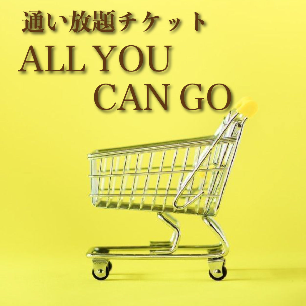 【クレジット限定】ラッシュアーティスト塾/通い放題