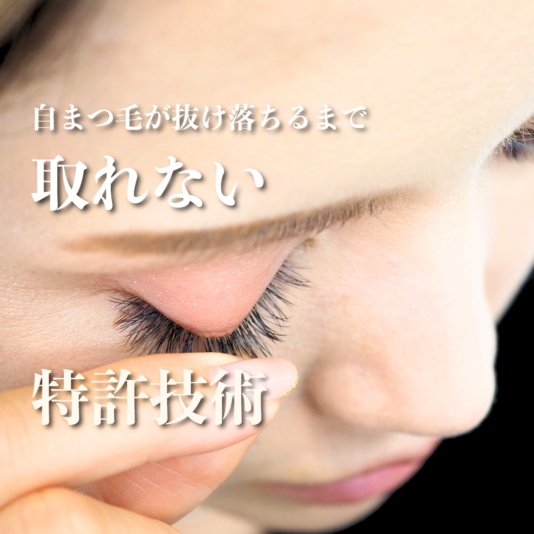 【リアルセミナー講座】特許技術Perfect lash（キットなし／ディプロマ付き）