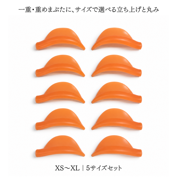 モンゴロッド
