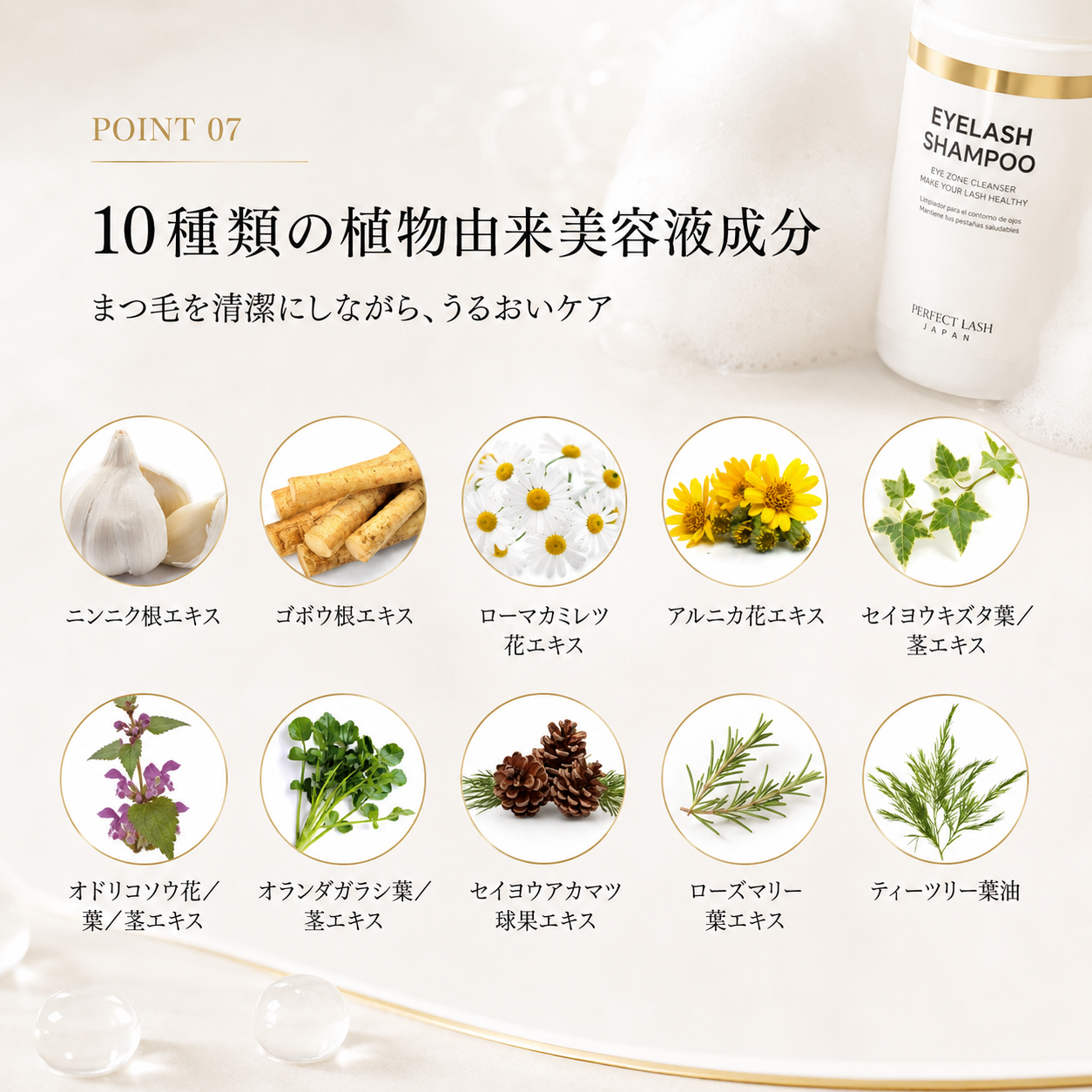 CAPRI｜Lash Shampoo 5本セット