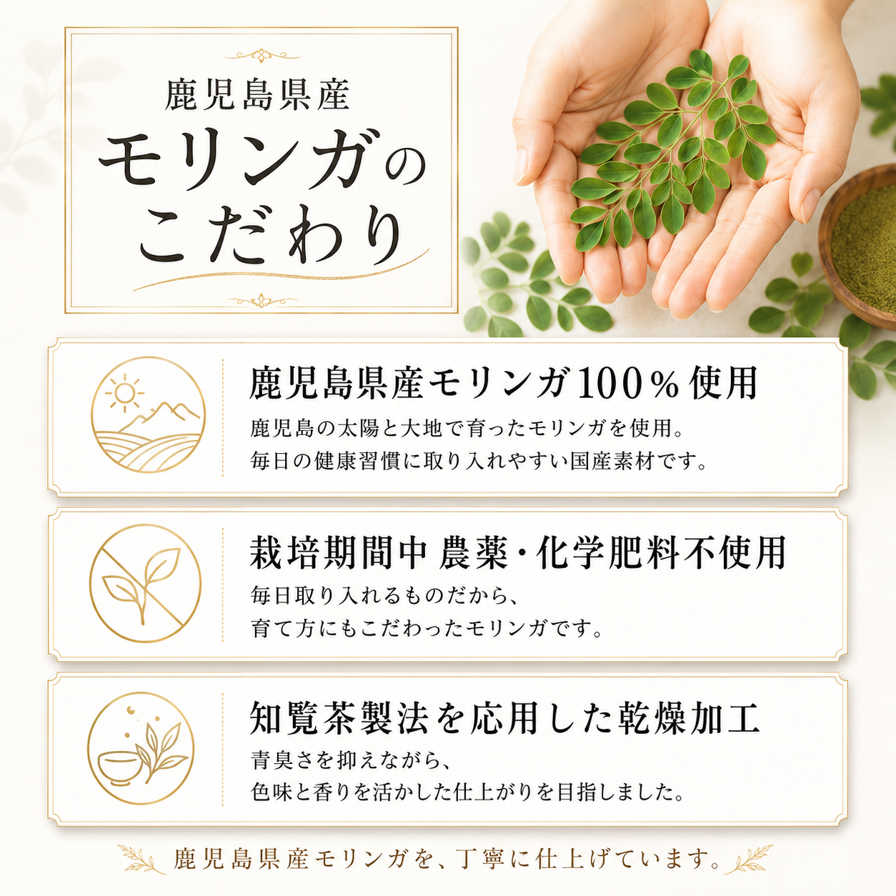 鹿児島県産 モリンガパウダー