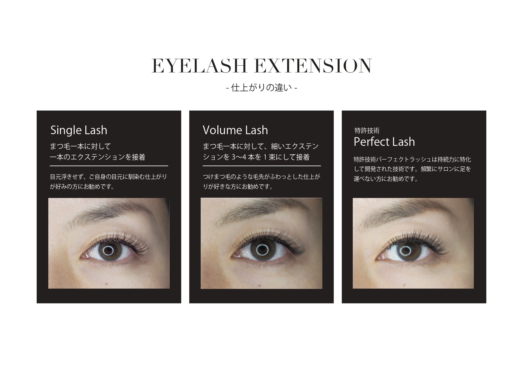 LASH PALLET ラッシュパレット　マツエク　パーフェクトラッシュ
