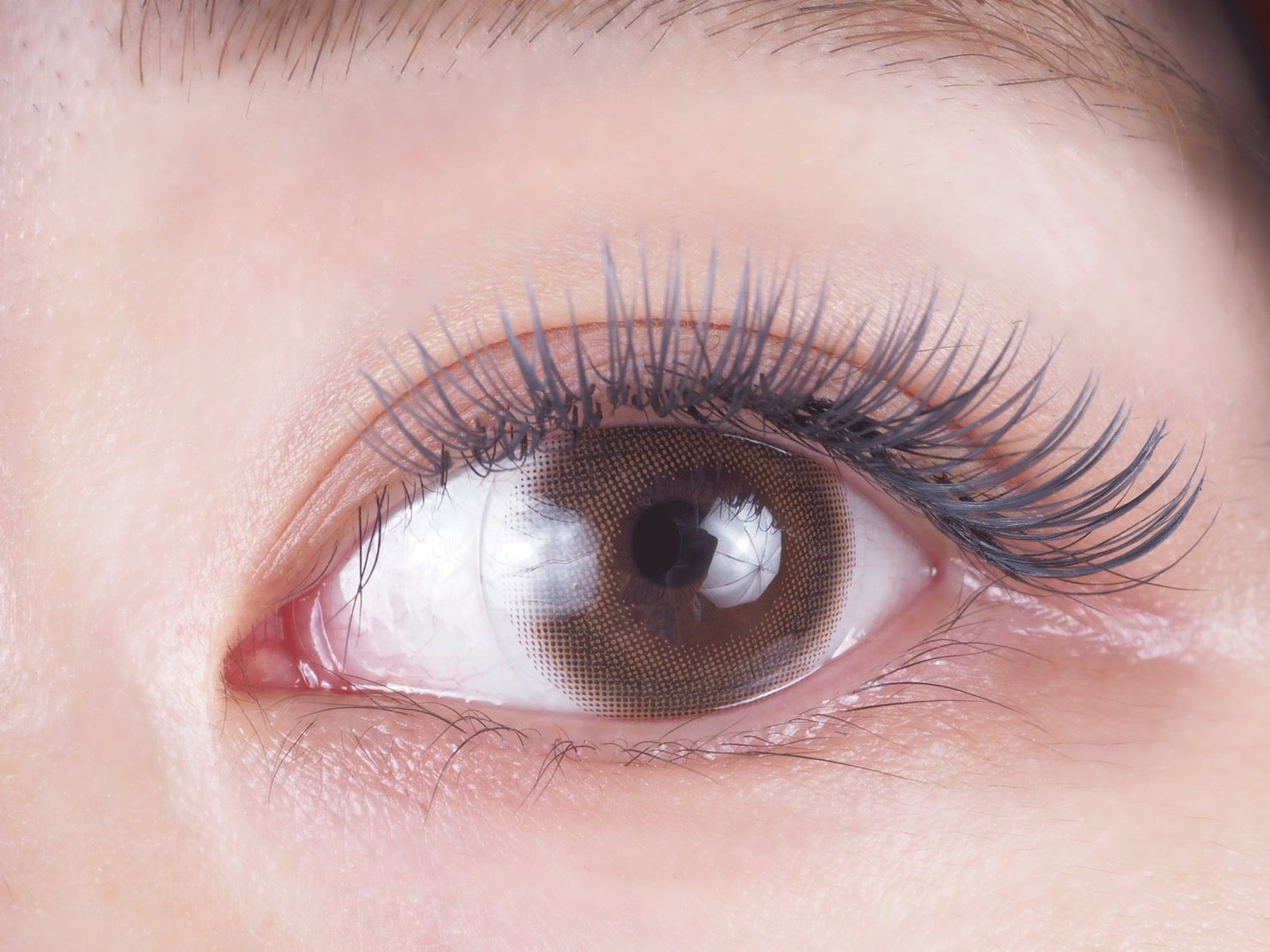 Bijoux アイオライト/ 0.15mm – perfect-lash-japan